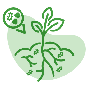Inbioma biofertilizantes