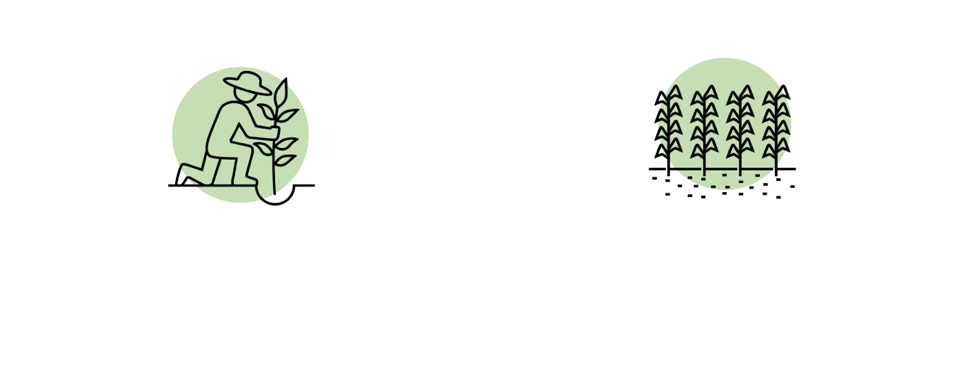 Inbioma icono Inbiocal Inbioma icono Inbiocal