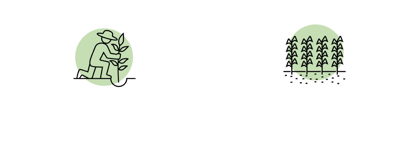 Inbioma Inbiosil aplicativos Inbioma Inbiosil aplicativos
