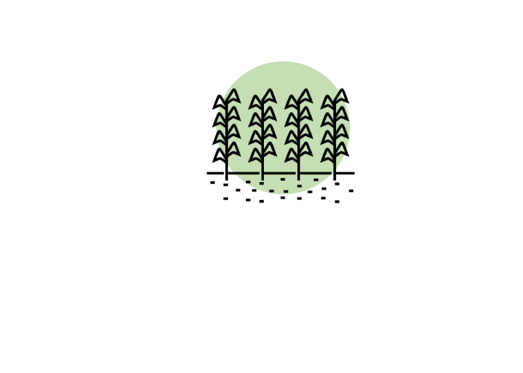 Inbioma iconos humosi